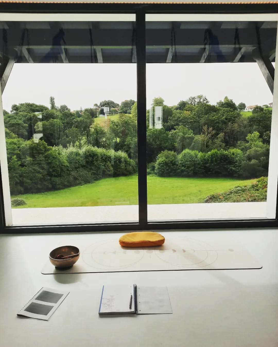 Vue sur la nature depuis la salle